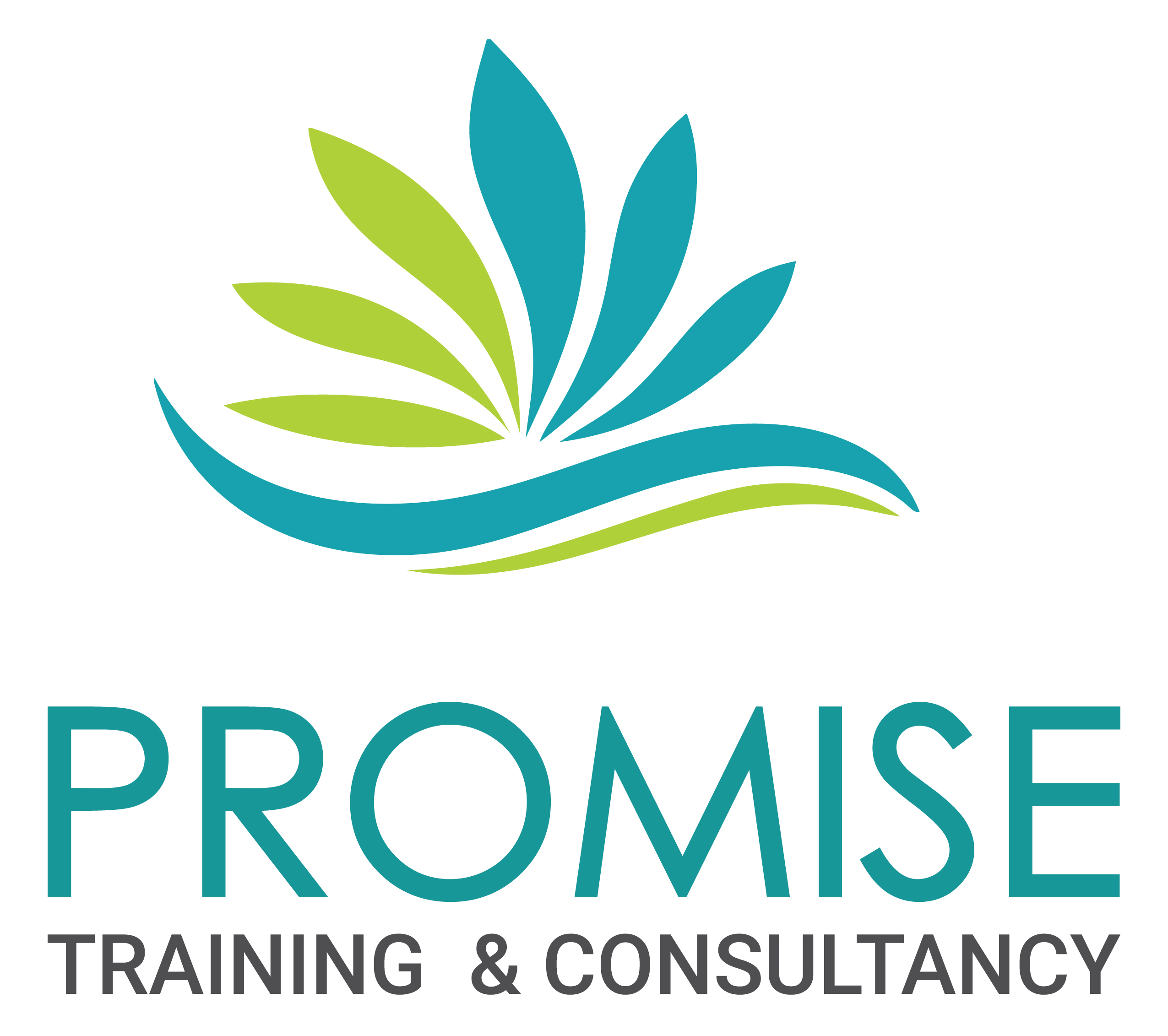 Promise Training & Consultancy FZE
